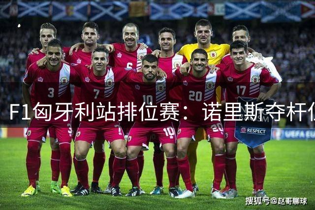 F1匈牙利站排位赛：诺里斯夺杆位 汉密尔顿被罚退三位
